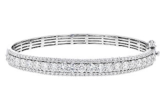 E310-18478: BANGLE 5.60 TW